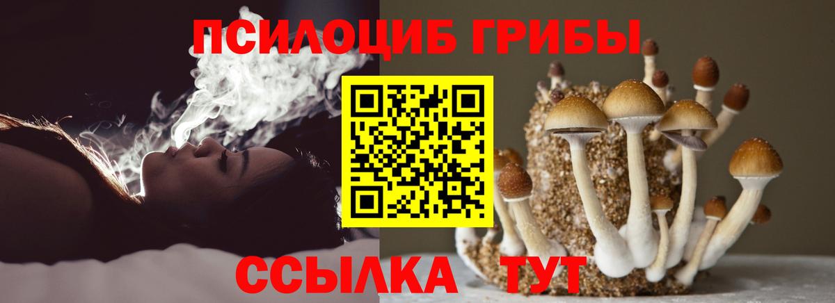 Аргун  Псилоцибиновые грибы мухоморы  Галлюциногенные грибы ЛСД  Вход с VPN 